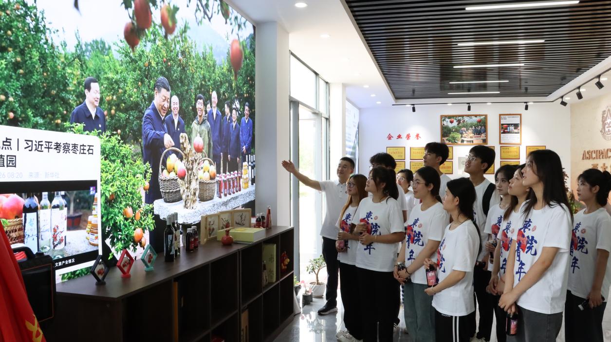 深入调研石榴产业的高质量发展现状